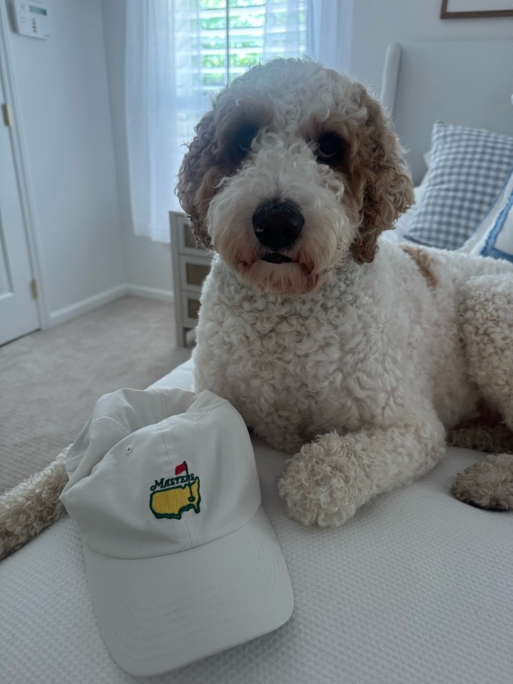 Masters Hat - Picture 3 of 4